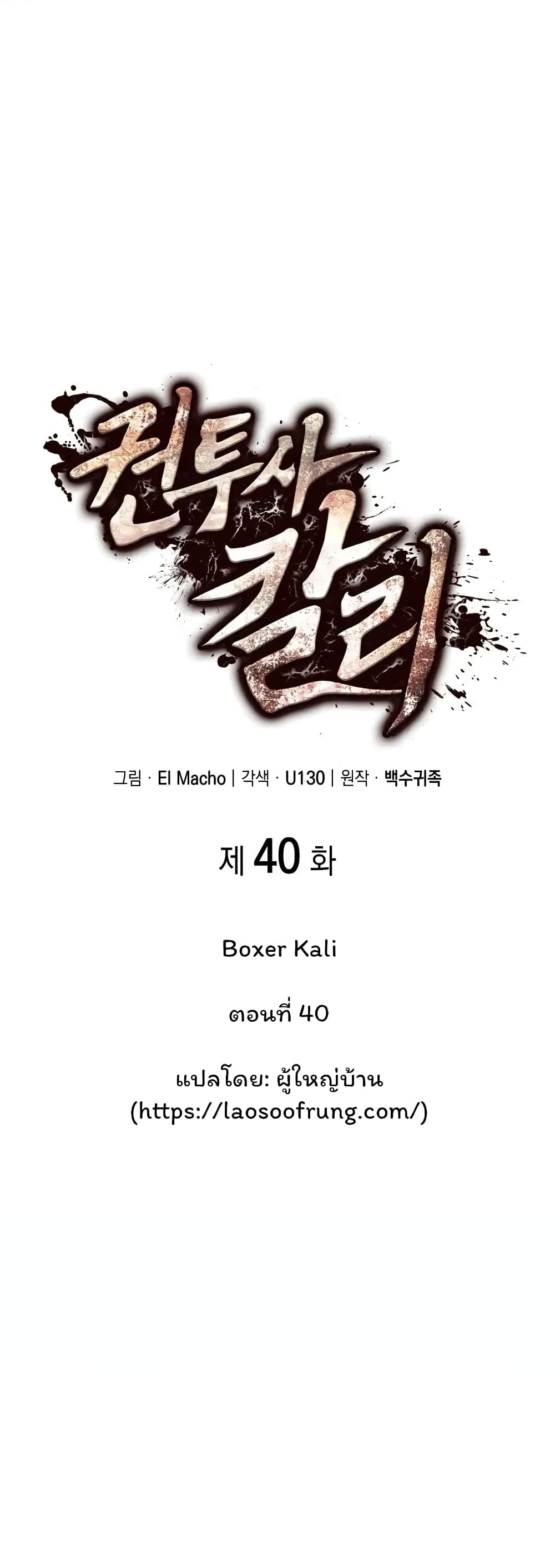 Boxer Kali 40 01